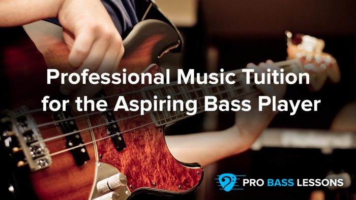Pro Bass Lessons