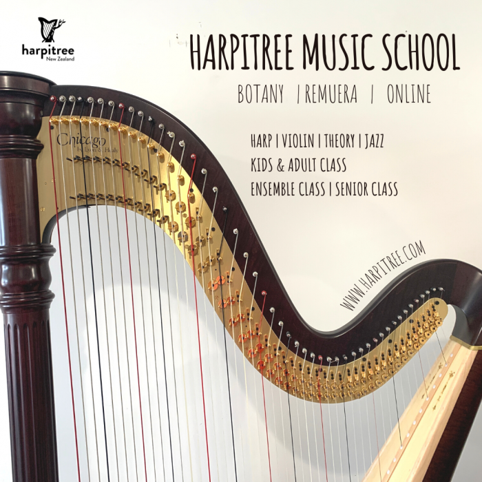 Auckland Violin Lessons NZ Music Teachers Online